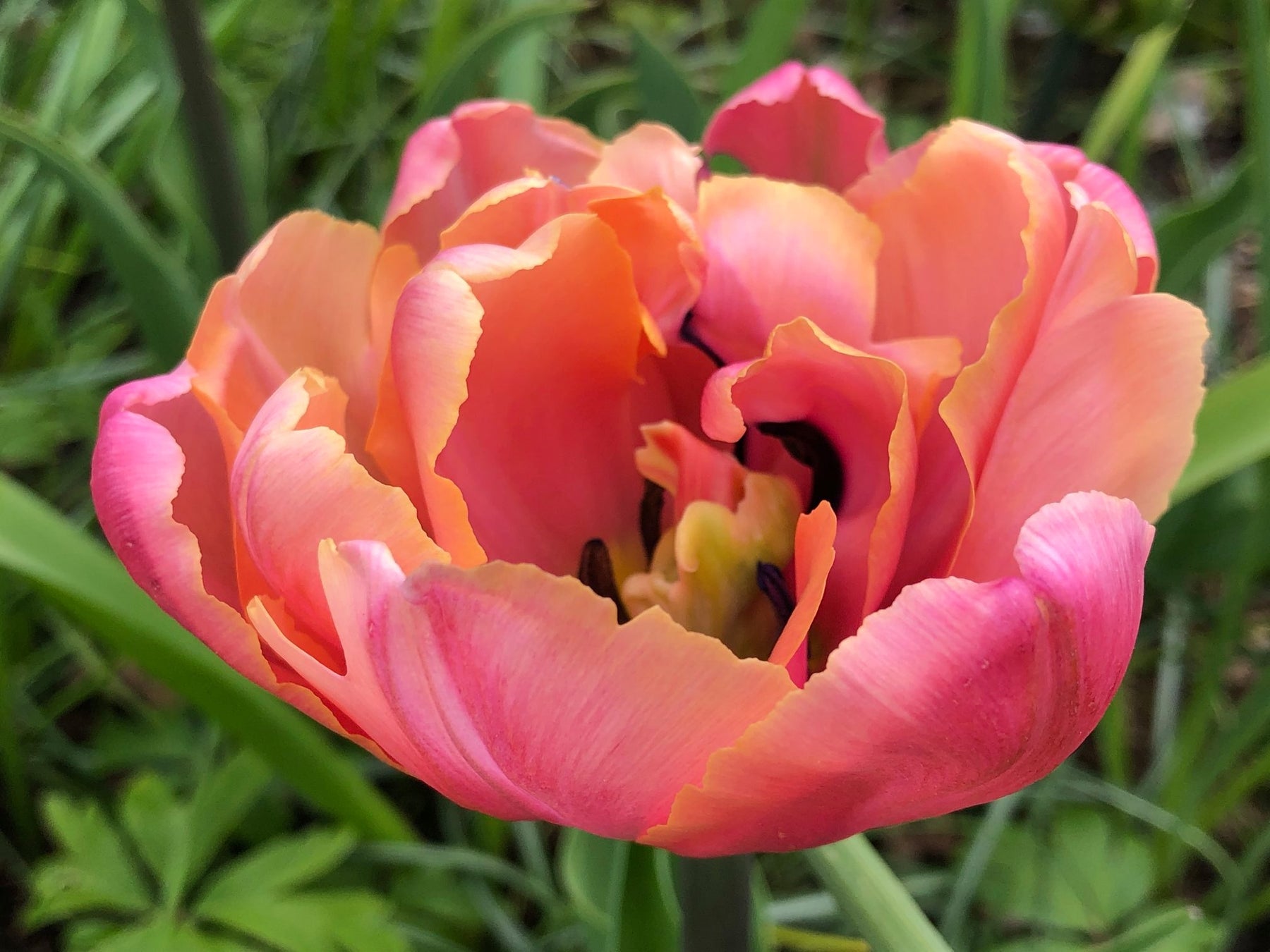 Höstlök - duka upp för vårens blomsterprakt
