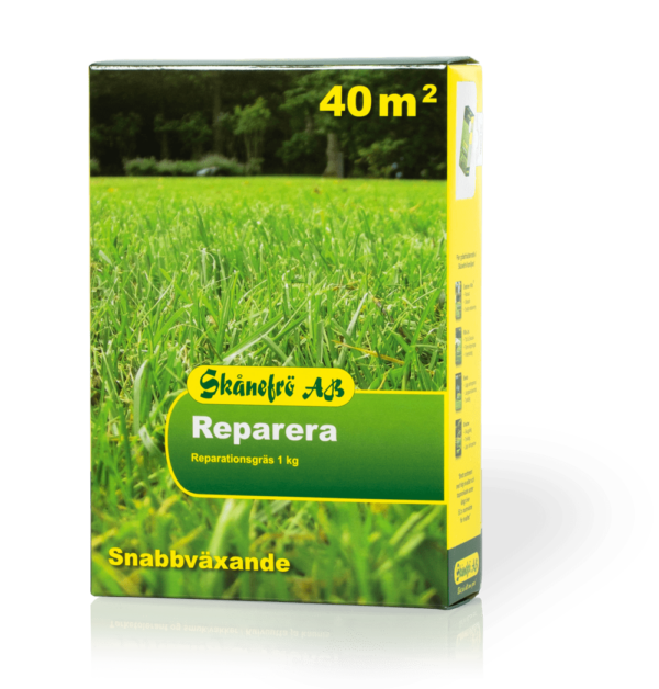 Gräsfrö Reparera 1 kg