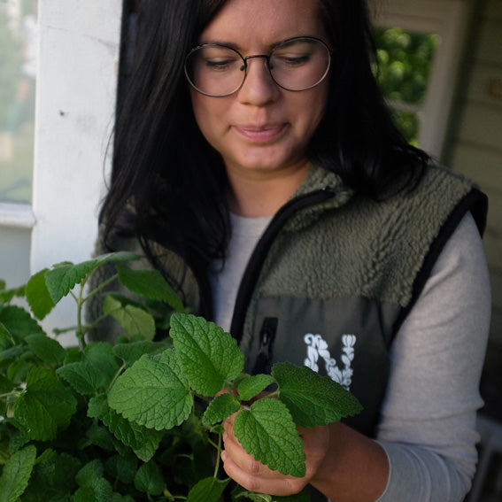 Föreläsning & kundkväll med Nelson Garden och Elin Burén 3/12