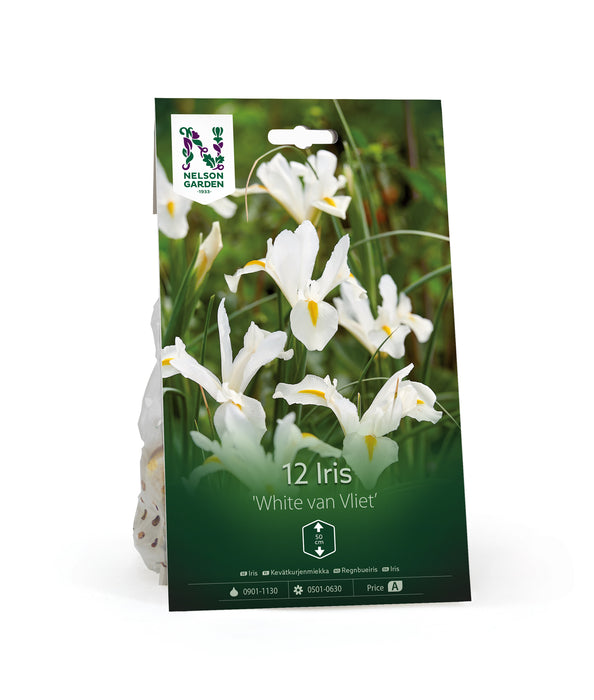 Iris 'White Van Vliet'