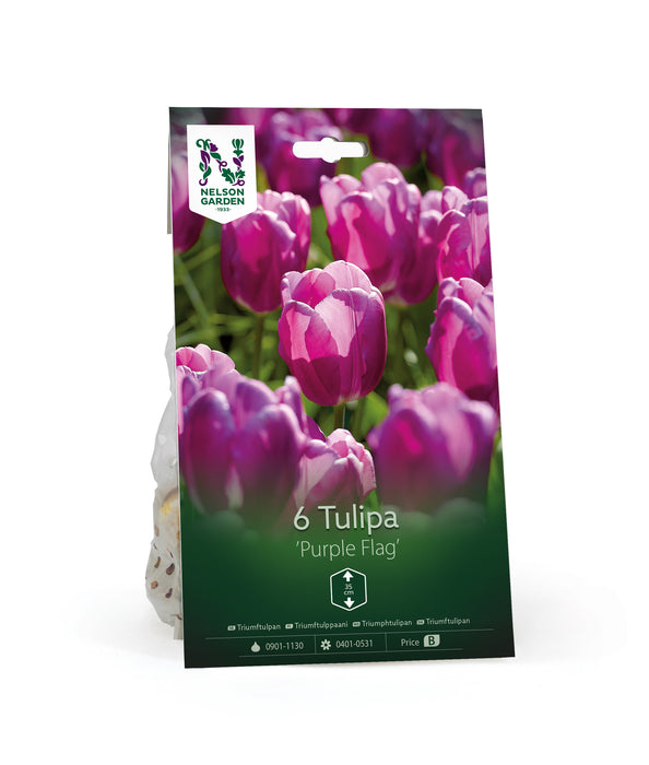 Triumftulpan 'Purple Flag'