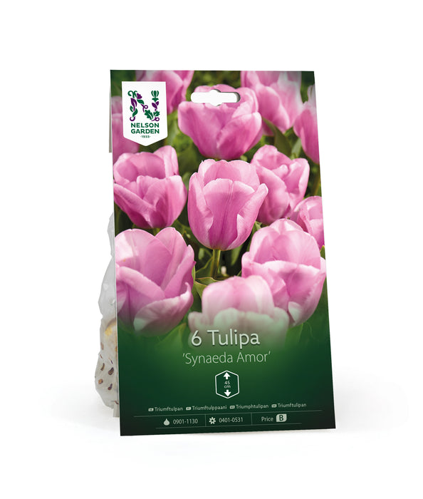 Triumftulpan 'Synaeda Amor'