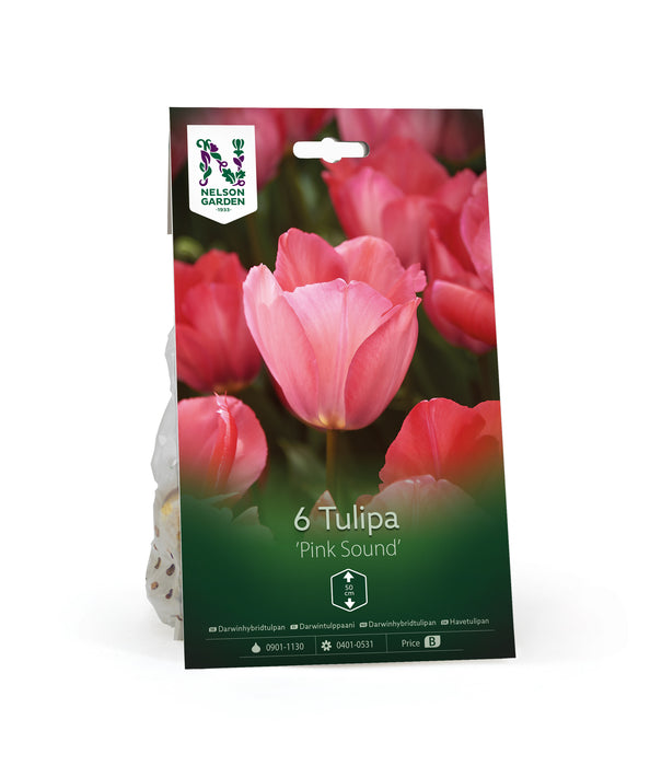 Darwinhybridtulpan 'Pink Soun