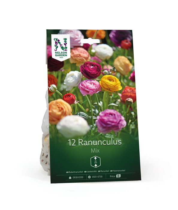 Ranunkel Mixed
