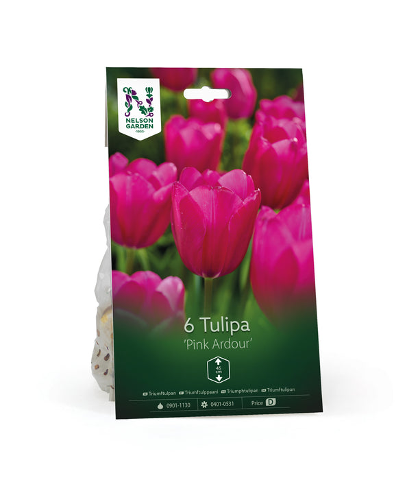 Triumftulpan 'Pink Ardour'