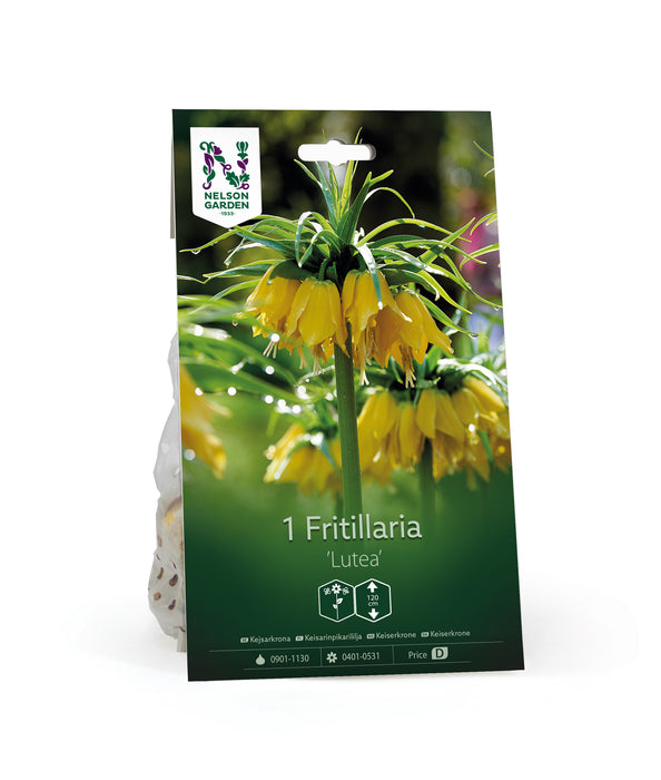 Kejsarkrona 'Lutea'