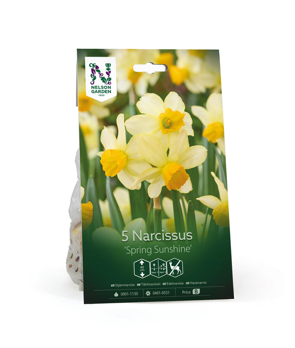 Narciss 'Spring Sunshine'