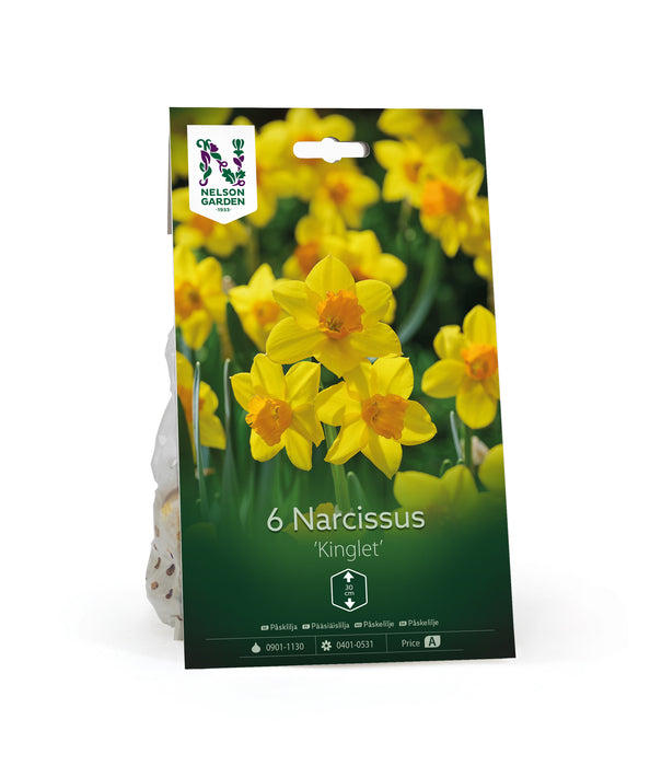 Narciss 'Kinglet'