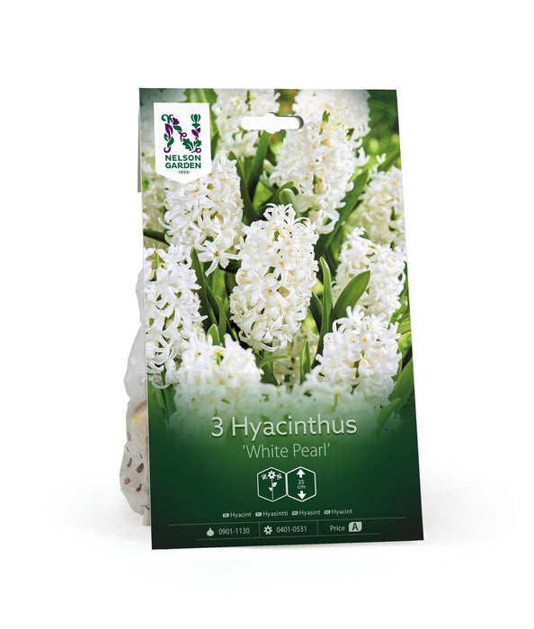 Hyacint 'White Pearl'