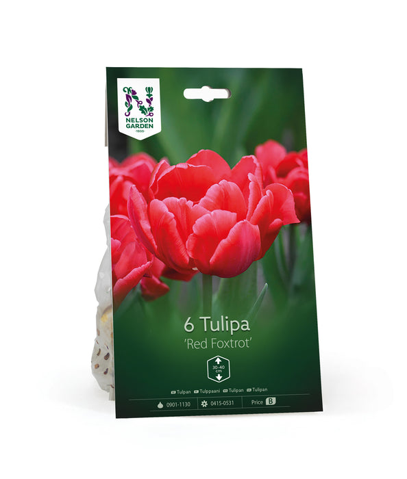Tulpan 'Red Foxtrot'