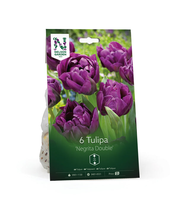 Tulpan 'Negrita Double'