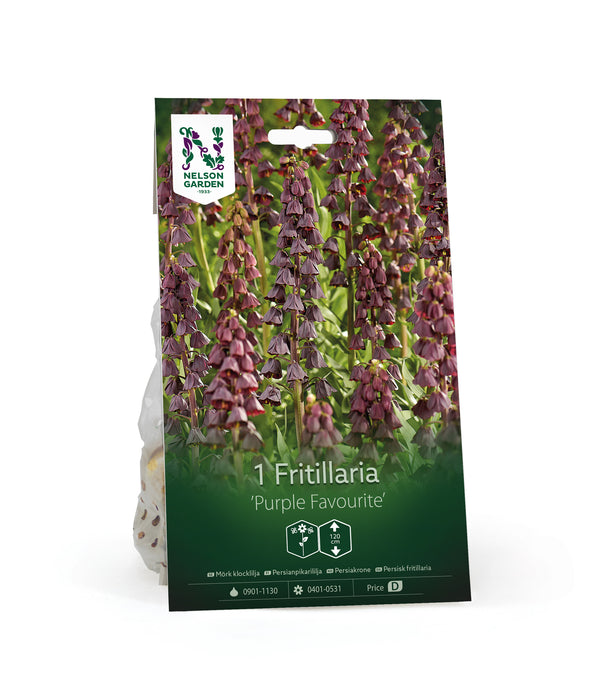 Mörk klocklilja 'Purple Favou