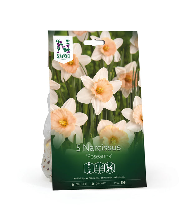 Påsklilja 'Roseanna'