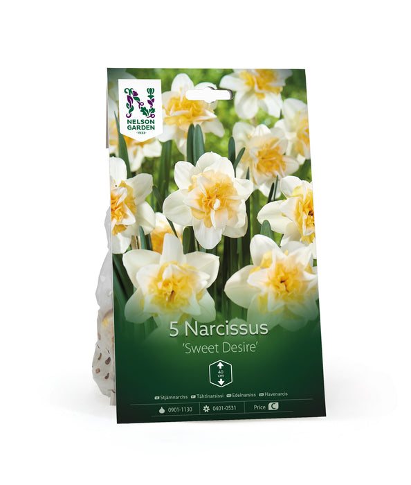 Stjärnnarciss 'Sweet Desire'