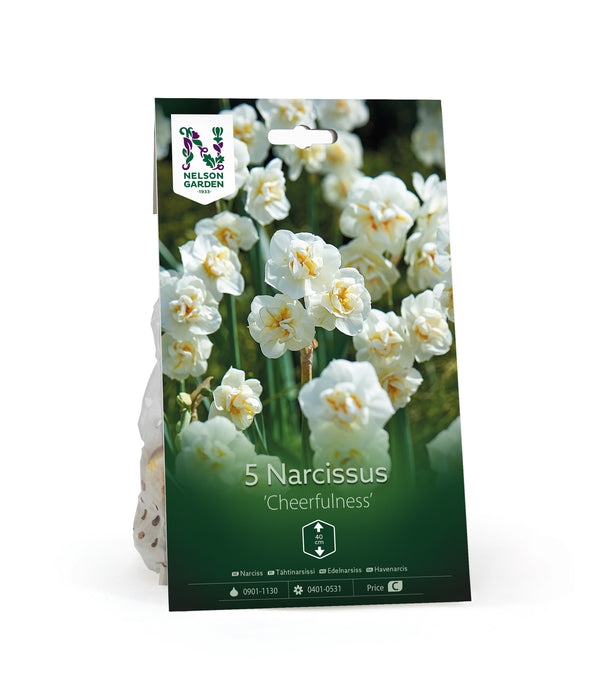 Narciss 'Cheerfulness'