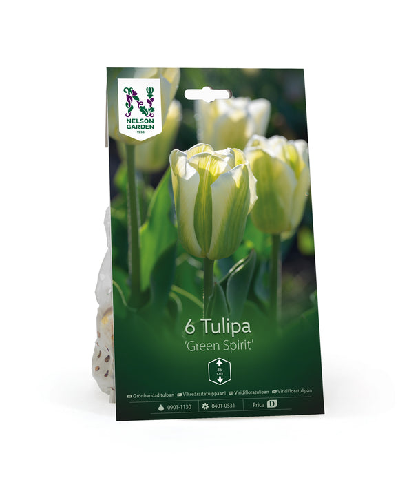 Grönbandad tulpan 'Green Spir