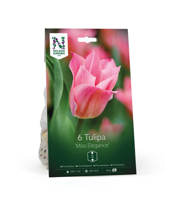 Triumftulpan 'Miss Elegance'