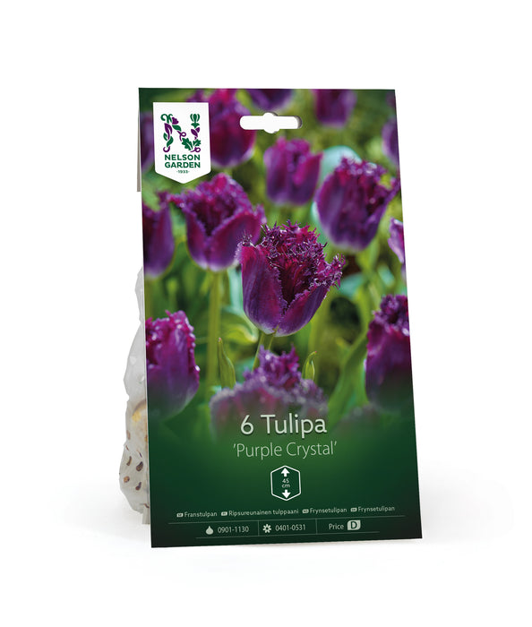 Franstulpan 'Purple Crystal'