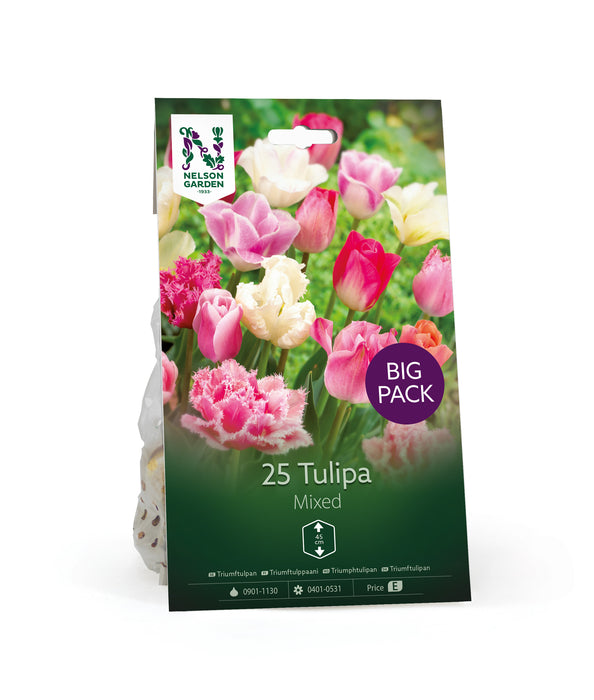 Triumftulpan rosa & vit mix