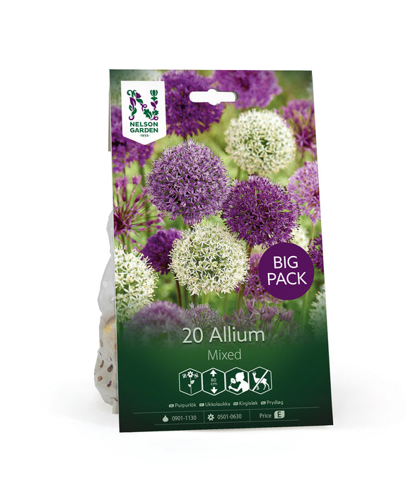 Allium Mix