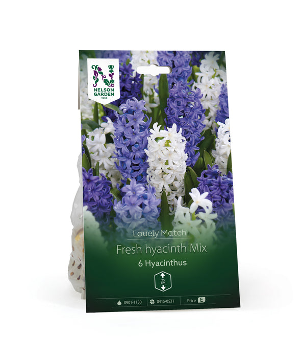 Hyacint Fresh hyacinth Mix LM
