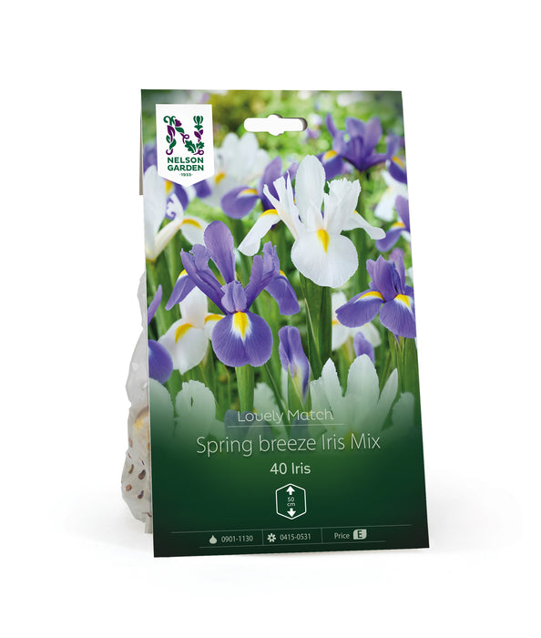 Våriris Spring breeze Iris Mi