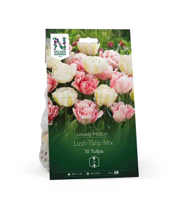 Tulpan Lush tulip Mix LM