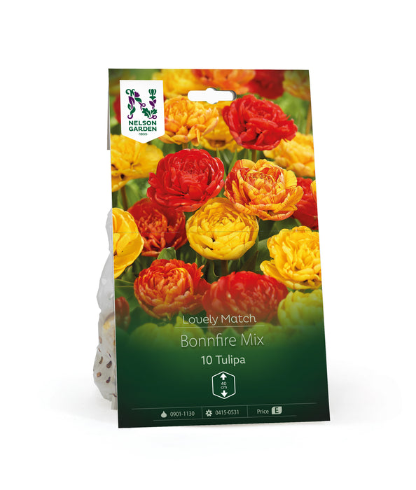 Tulpan Bonnfire Mix LM