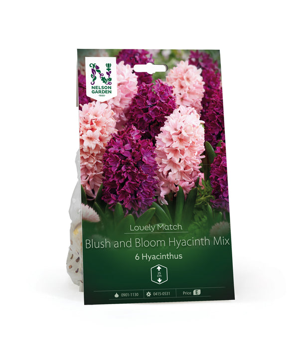 Hyacint Blush and Bloom Hyaci