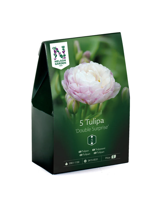 Tulpan 'Double Surprise'