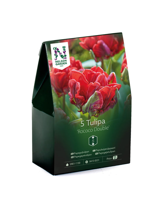 Papegojtulpan 'Rococo Double'