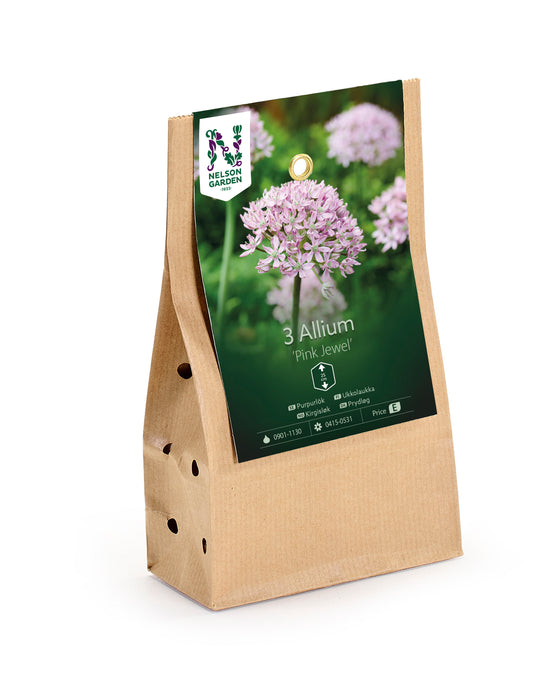 Allium 'Pink Jewel'