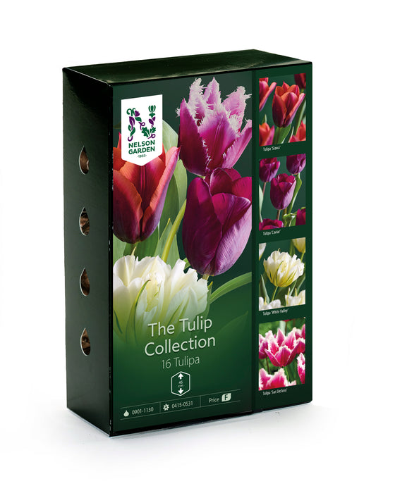 Selected Tulip Collection
