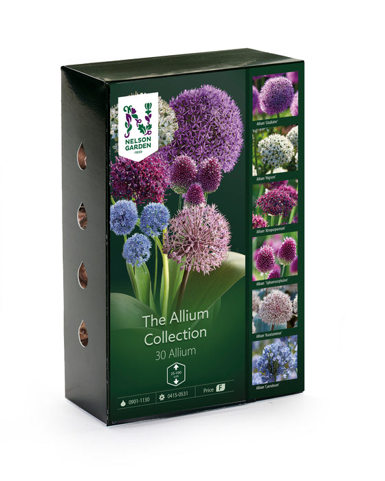 Selected Allium Collection