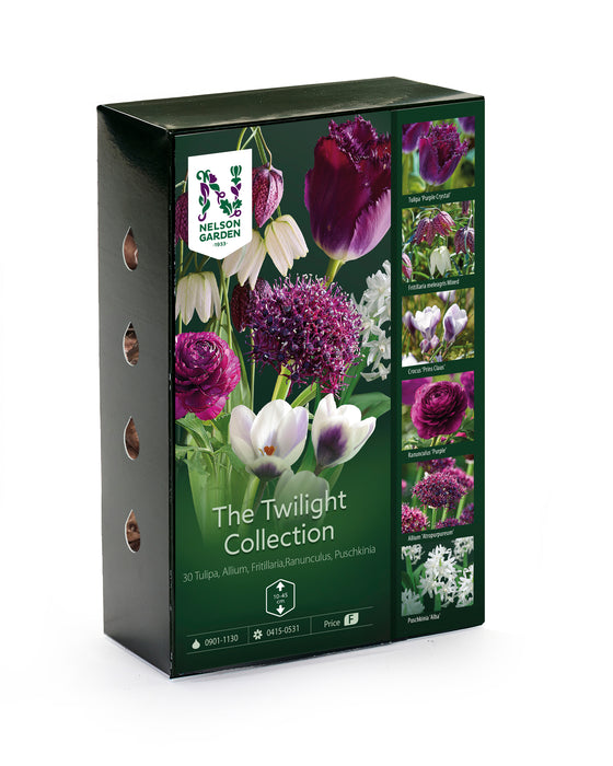 The Twilight Collection