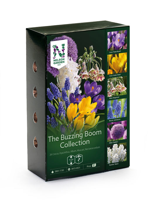 The Buzzing Boom Collection