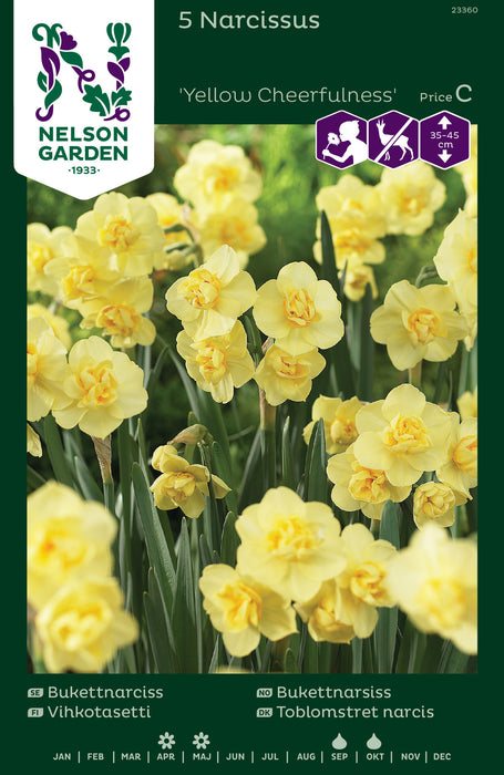 Narc. Bukett-, Yellow Cheerfulness,fylld
