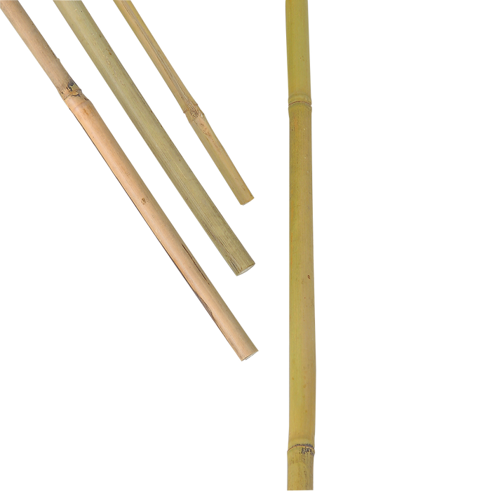 Bambukäpp Kraftig 200 cm 3 st